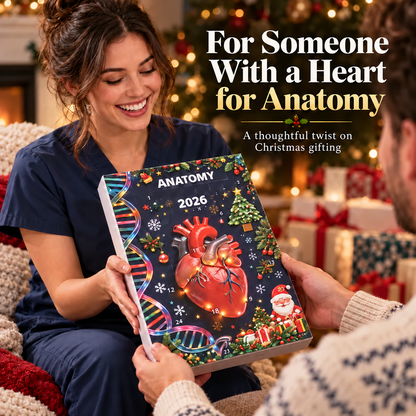 🔥Last Day 50% OFF – 2026 Anatomy Advent Calendar – Medical Christmas Countdown with Mini Organ Ornaments