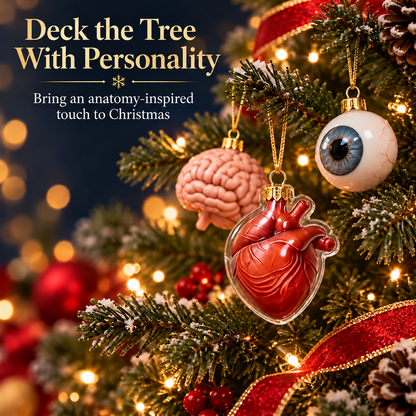 🔥Last Day 50% OFF – 2026 Anatomy Advent Calendar – Medical Christmas Countdown with Mini Organ Ornaments