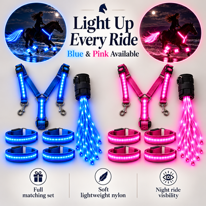 🔥Last Day 50% OFF-LED Horse Riding Light Set – Illuminated Chest Strap, Leg Bands & Flowing Tail Lights