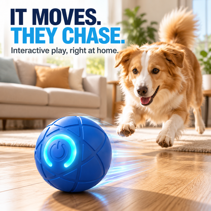 Smart Self-Moving Dog Ball | Interactive  Dog Toy