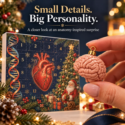 🔥Last Day 50% OFF – 2026 Anatomy Advent Calendar – Medical Christmas Countdown with Mini Organ Ornaments