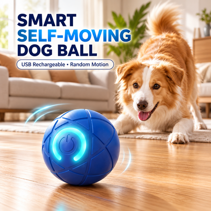 Self-Moving Interactive Dog Ball – USB Rechargeable Pet Toy