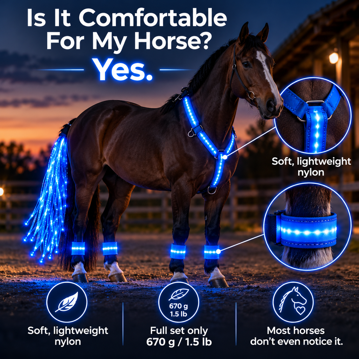 🔥Last Day 50% OFF-LED Horse Riding Light Set – Illuminated Chest Strap, Leg Bands & Flowing Tail Lights
