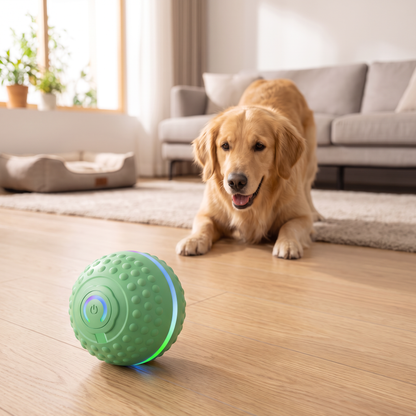 Smart Self-Moving Dog Ball | Interactive  Dog Toy